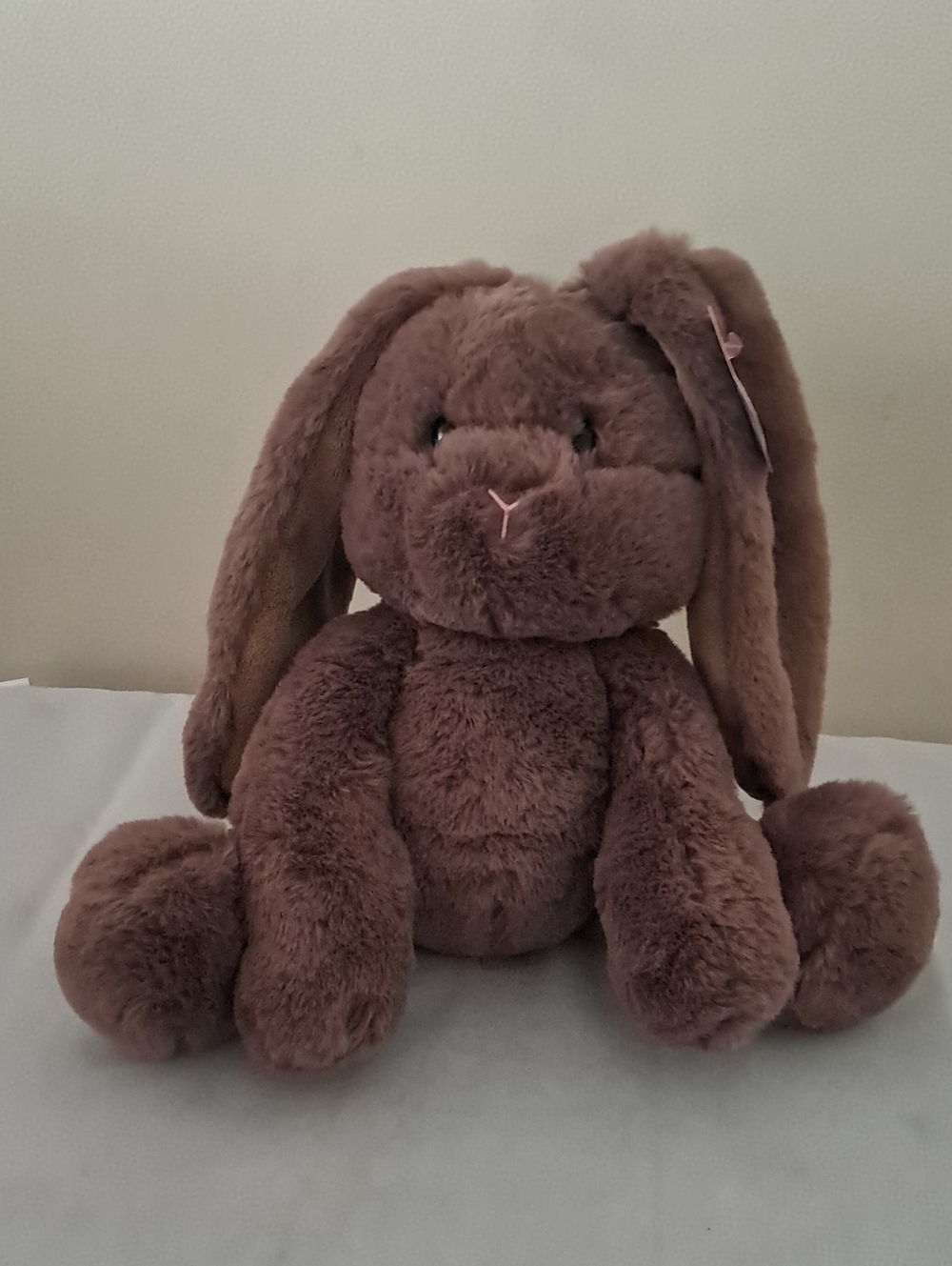 Plush Brown Bunny Stuffed Animal with Floppy Ears